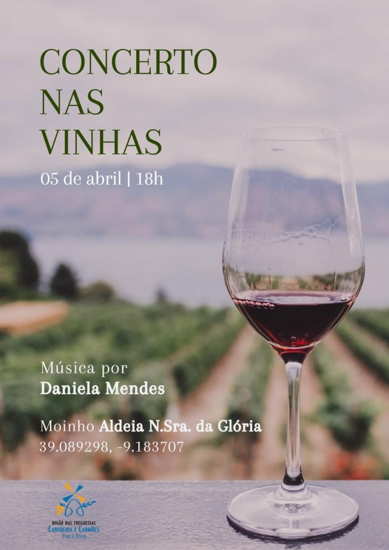 Read more about the article CONCERTO NAS VINHAS